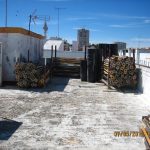 01-VICENTE